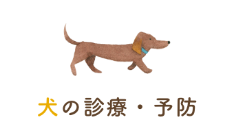 犬の診療・予防