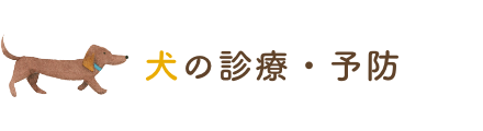 犬の診療・予防