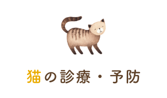 猫の診療・予防