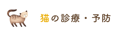 猫の診療・予防