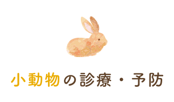 小動物の診療・予防