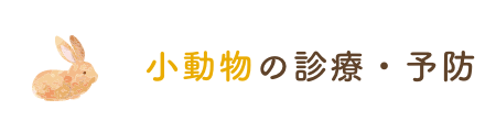 小動物の診療・予防