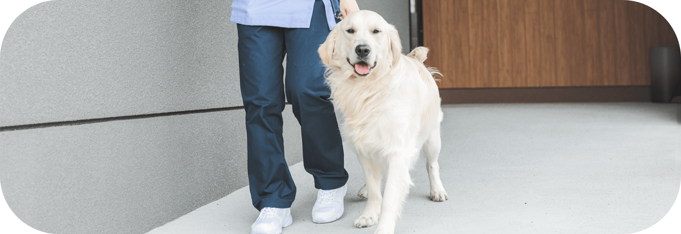 犬の診療・予防