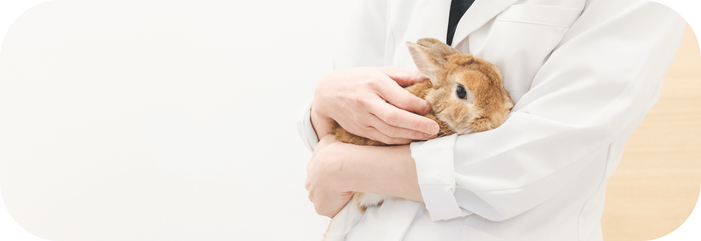 小動物の診療・予防