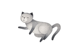 猫に関する高い専門性