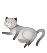 猫に関する高い専門性