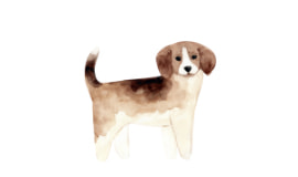 トレーナーによる子犬のしつけ教室