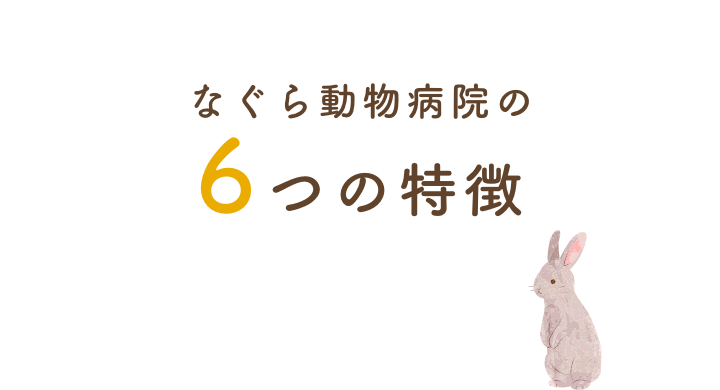 なぐら動物病院の6つの特徴