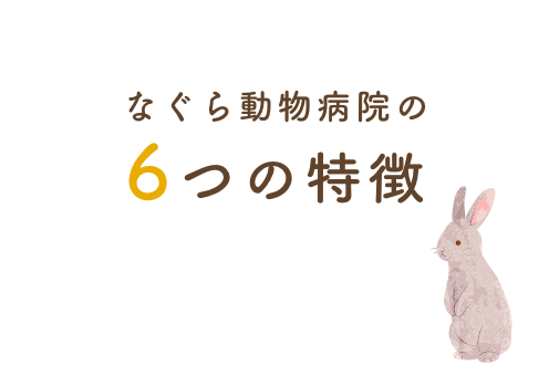 なぐら動物病院の6つの特徴
